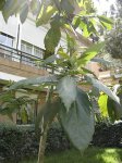 DSC03315.jpg