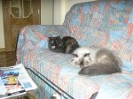 FOTOS 121.jpg