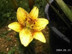 PHOT0481.jpg