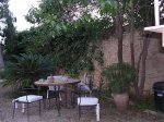 Jardin antes intervención 005.jpg