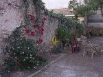 Jardin antes intervención 007.jpg