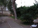 Jardin antes intervención 008.jpg