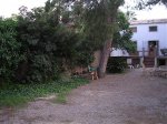 Jardin antes intervención 012.jpg