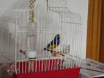 DSC00323.jpg