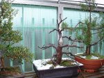 DSC00014.jpg
