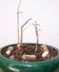 Imagen 012.jpg