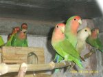 05-26.jpg