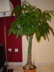 DSC01855.jpg