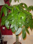 DSC01856.jpg
