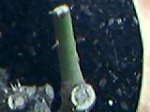 26-05-07_tronco 6.jpg