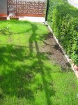 IMG_0065.jpg