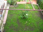 IMG_2321.jpg