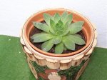Imagen 011.jpg