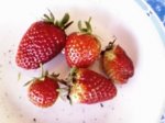fresas.jpg