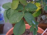 Fotos 079.jpg