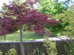 Fotos 085.jpg