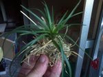 DSC00055.JPG