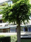 DSC03370.jpg