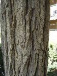DSC03371.jpg