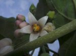 DSCN4819.JPG