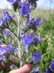 IMG_1045.JPG