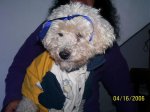 100_0231.jpg