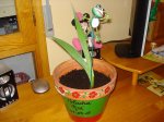 DSC00547.jpg