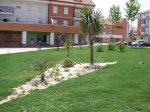 jardin en pequeño.jpg