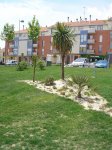 jardin pequeño2.jpg