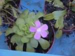 Imagen 026.jpg