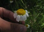 IMG_1066.JPG