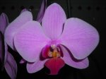DSCN3231.JPG