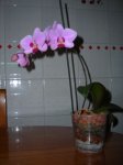 DSCN3229.JPG