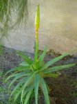 DSC04581.jpg