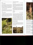 infojardin 001.jpg