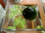 DSC00349.jpg