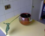DSC00010.jpg