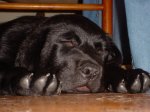 Dsc04136.jpg