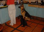 Dsc04185.jpg