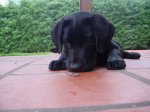 Dsc04451.jpg