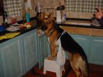 Dsc04454.jpg