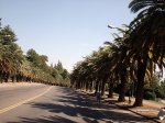 Parque Avda. de las Palmeras.jpg