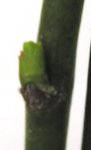 K07.jpg