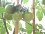 DSC01300.jpg