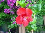DSC03719.jpg
