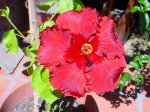DSC03806.jpg