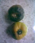 Imagen025.jpg