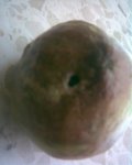 Imagen026.jpg