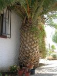 plantas 05-07 001.jpg