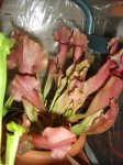 DSC02812.JPG